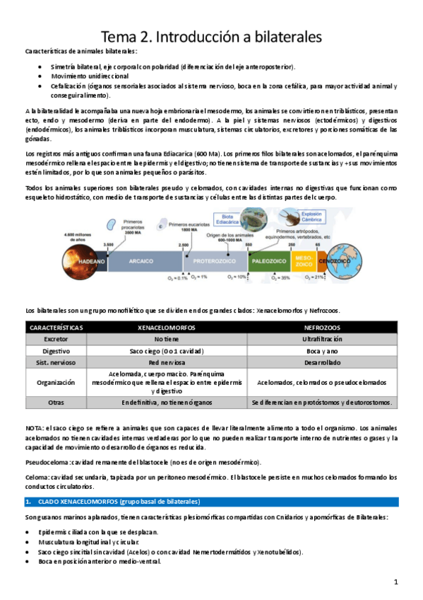 Miniatura del documento T2.-Introduccion-a-bilaterales.pdf