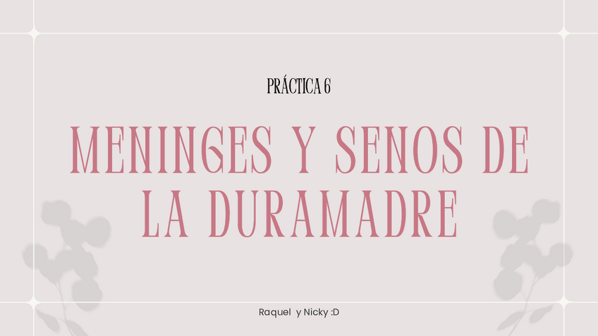 Miniatura del documento Practica-6-meninges-y-senos-de-la-duramadre.pdf