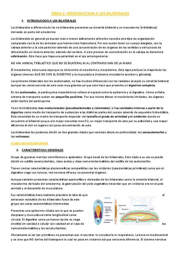 Miniatura del documento TEMA-2.pdf