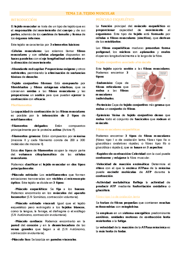 Miniatura del documento Tema 8 biología tisular, Tejido muscular.pdf