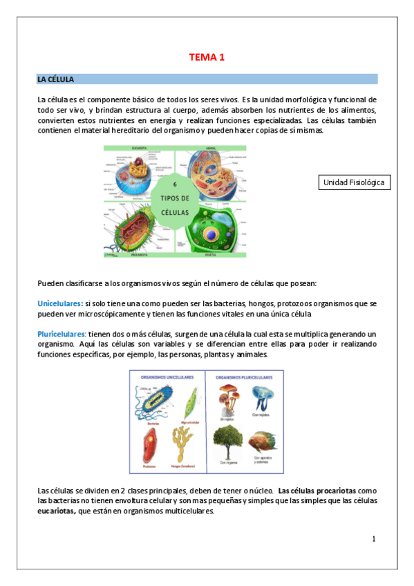 Miniatura del documento Temario-completo-Biologia-Linita.pdf