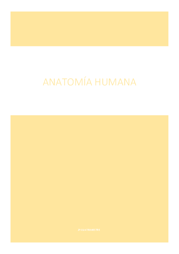 Miniatura del documento TEMARIO-SEGUNDO-CUATRIMESTRE.pdf