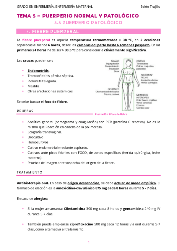 Miniatura del documento MATERNO-Tema5-Puerperio-5PuerperioPatologico.pdf