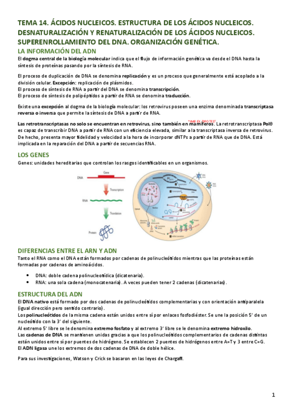 Miniatura del documento TEMA-14-BQE.pdf