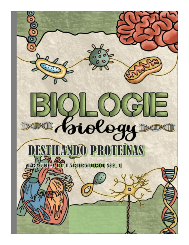 Miniatura del documento PRACTICA-DE-LABORATORIO-PROTEINAS.pdf