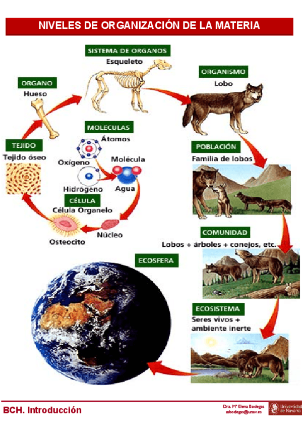 Miniatura del documento Tema-0-BCH-Alumnos.pdf