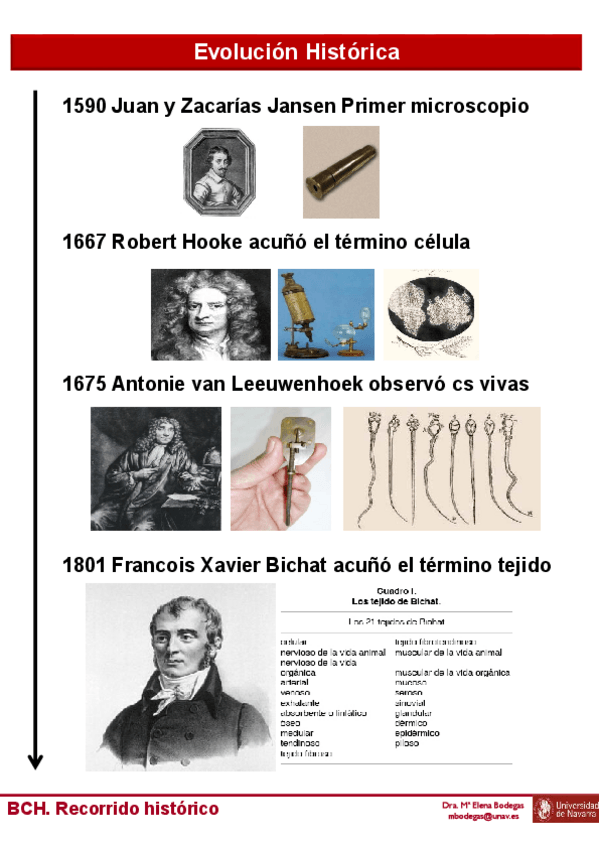 Miniatura del documento Tema-1-BCH-Alumnos-Evolucion-historica.pdf