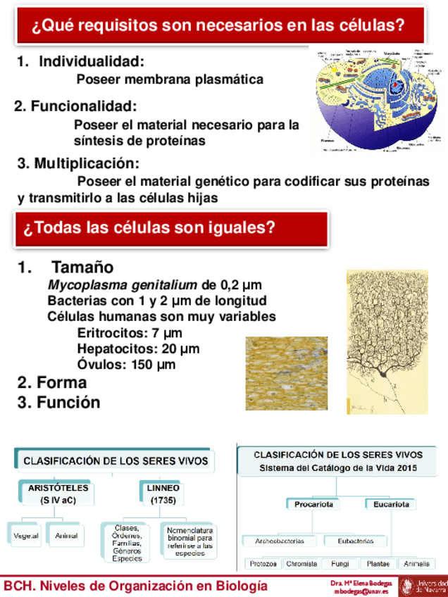 Miniatura del documento Tema-2-BCH-Alumnos-Niveles-de-Organizacion-1.pdf