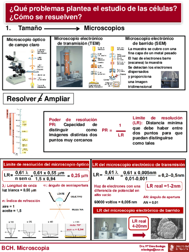 Miniatura del documento Tema-3-BCH-Alumnos-Microscopia.pdf