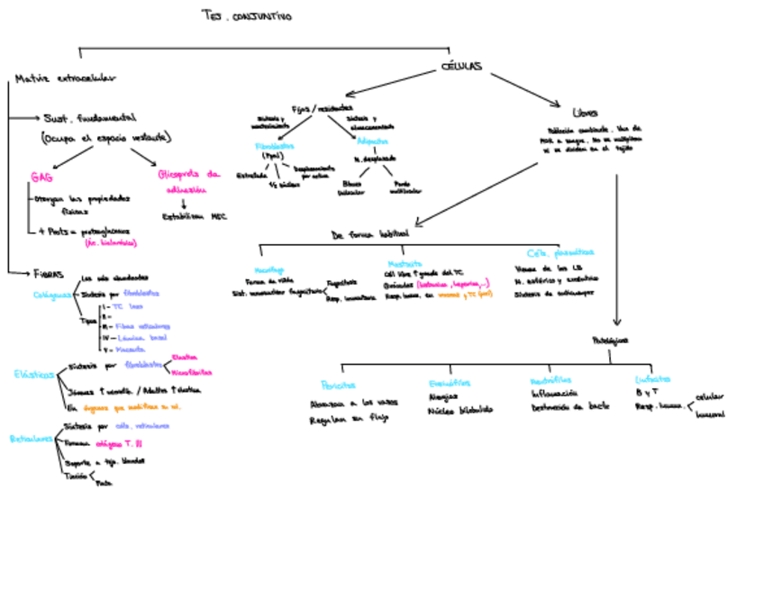 Miniatura del documento Esquemas-histo.pdf