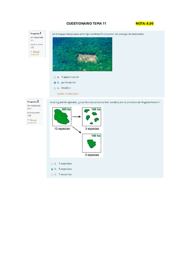 Miniatura del documento TEST-tema-11-nota-8.pdf