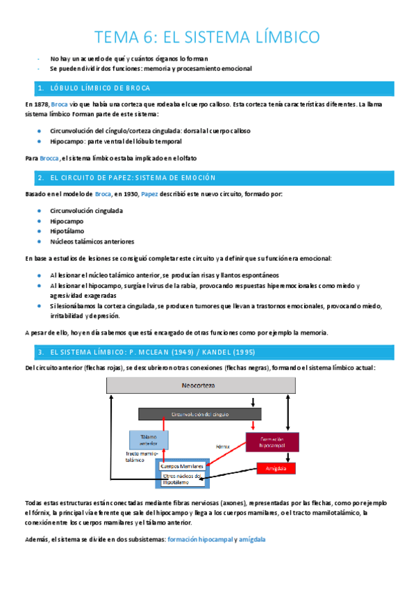 Miniatura del documento T.6-El-sistema-limbico.pdf