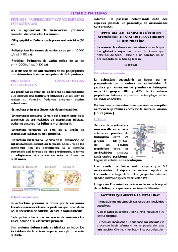 Miniatura del documento Tema 8.2 química biomolecular. Proteínas.pdf