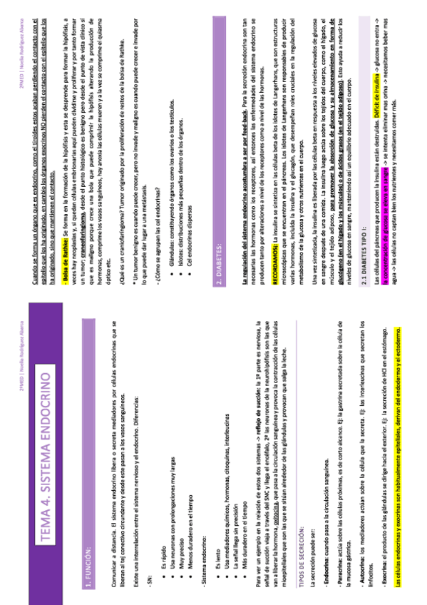 Miniatura del documento 2o-cuatri.-APUNTES-HISTO-HOAS.pdf