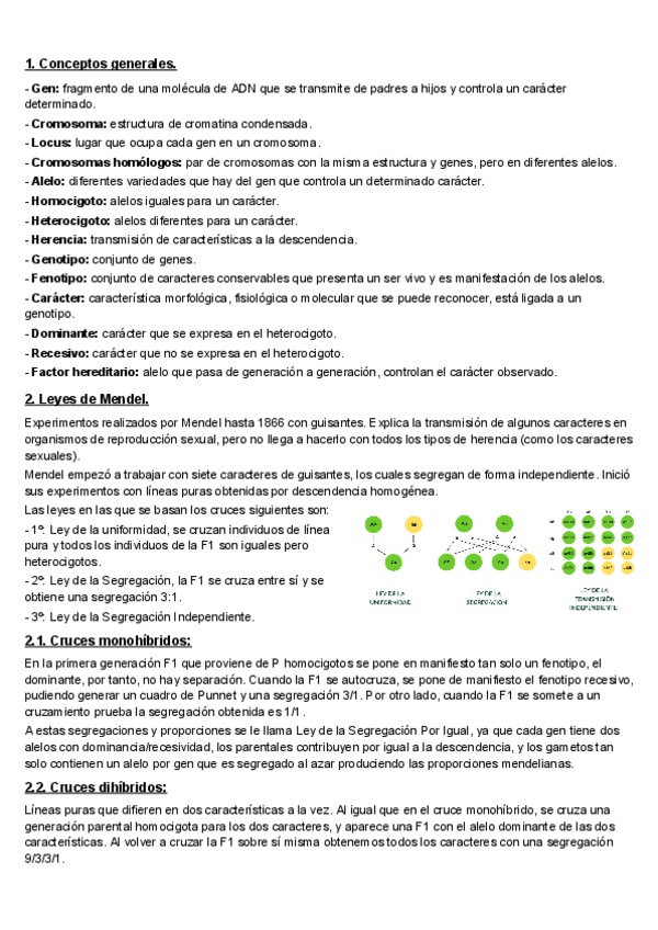 Miniatura del documento T2-2.1.-Mendel-y-los-principios-basicos-de-la-herencia.pdf