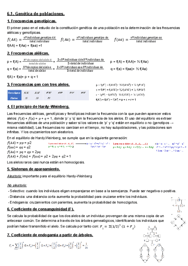 Miniatura del documento T6-Genetica-de-poblaciones-y-evolucion.pdf