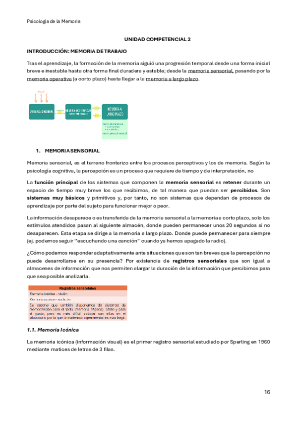 Miniatura del documento Apuntes-UC2-Psicologia-de-la-Memoria.pdf
