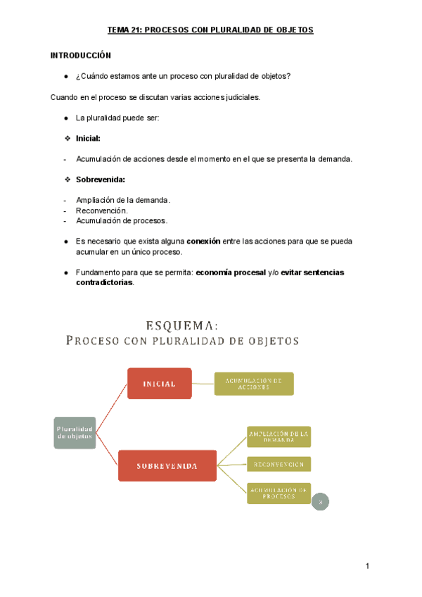 Miniatura del documento TEMA-21-PROCESOS-CON-PLURALIDAD-DE-OBJETOS.pdf