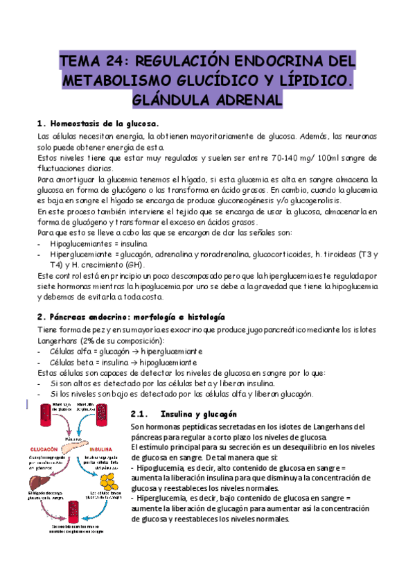 Miniatura del documento Tema-24.pdf