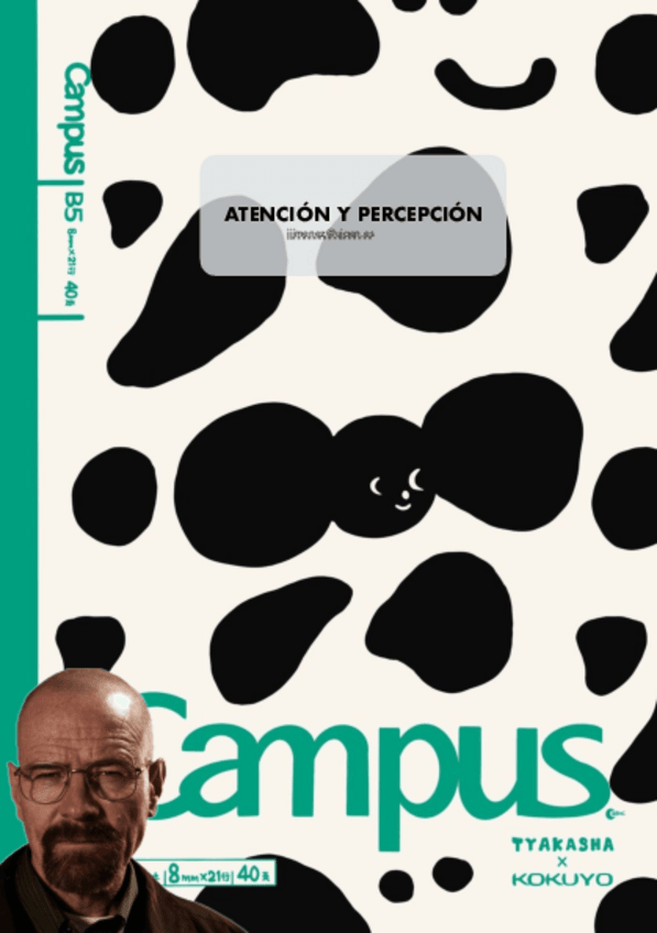 Miniatura del documento Atencion-Y-Percepcion-temario-completo.pdf