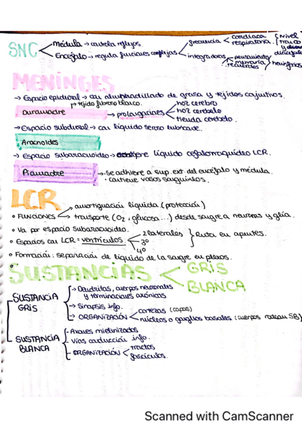 Miniatura del documento Tema-3.2-fisio-nervioso-esquemas.pdf