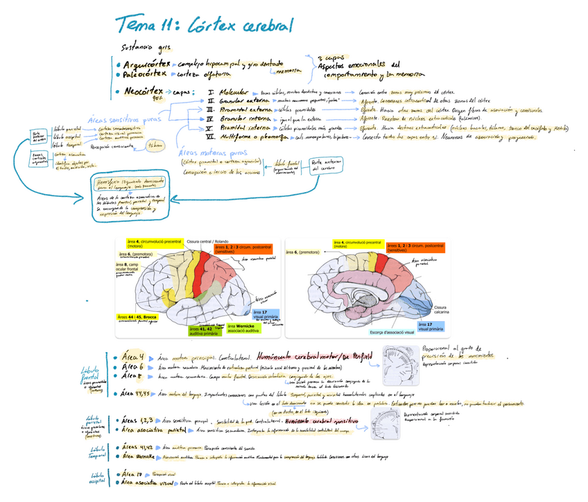 Miniatura del documento Esquemas-del-11-al-22.pdf