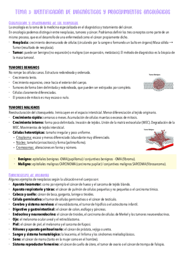 Miniatura del documento 3-EXT-UF2.pdf