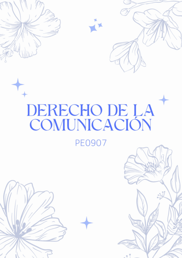 Miniatura del documento DERECHO.pdf