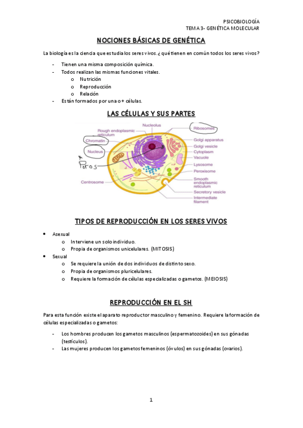 Miniatura del documento TEMA-3.pdf