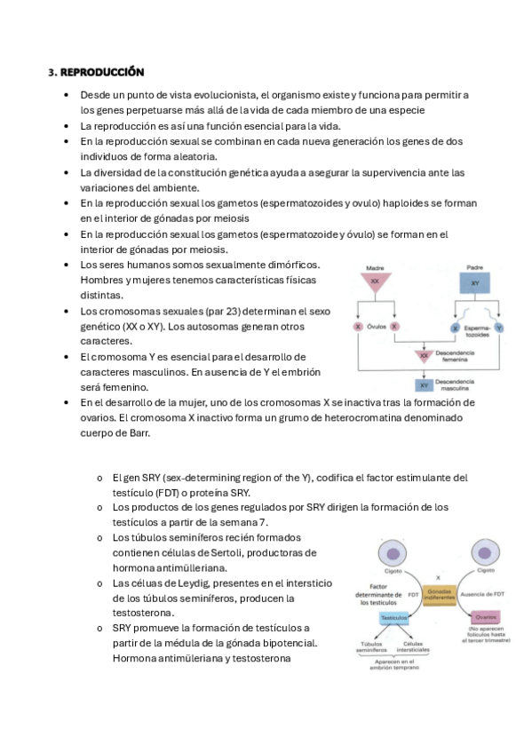 Miniatura del documento fisiologia-tema-4-la-parte-que-falta.pdf