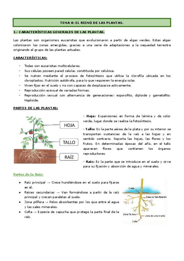 Miniatura del documento BLOQUE-4-EL-REINO-VEGETAL-Y-ANIMAL.pdf