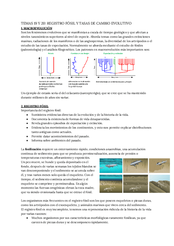 Miniatura del documento TEMAS-19-Y-20-REGISTRO-FOSIL-Y-TASAS-DE-CAMBIO-EVOLUTIVO.pdf