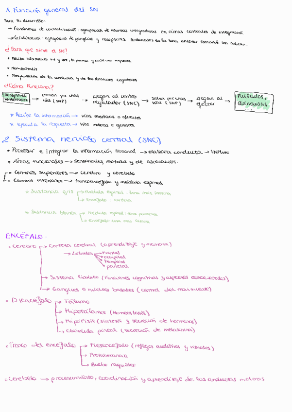 Miniatura del documento Tema-1-Introduccion-al-sistema-nervioso.pdf