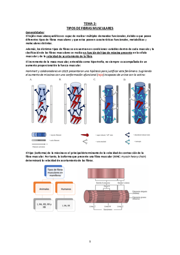 Miniatura del documento Tema 2 (Bloque 1) FISII.pdf