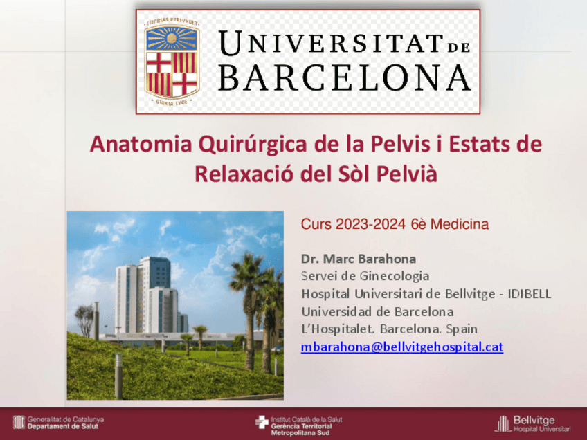 Miniatura del documento GIN02-Anatomia-quirurgica-del-SP-i-estats-de-relaxacio-PDF.pdf