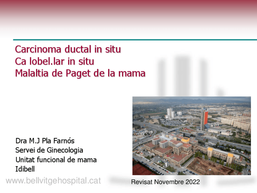 Miniatura del documento GIN11-Ca-in-situ-i-Paget.pdf