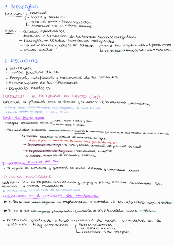 Miniatura del documento Tema-2-Tejido-nervioso.pdf