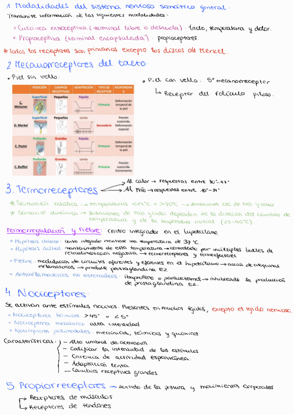 Miniatura del documento Tema-4-Sistema-somatosensorial.pdf