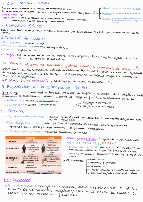 Miniatura del documento Tema-5-Sistema-visual.pdf