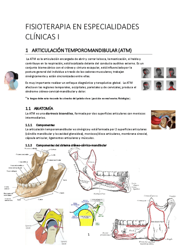 Miniatura del documento FISIOTERAPIA-EN-ESPECIALIDADES-CLINICAS-I.pdf