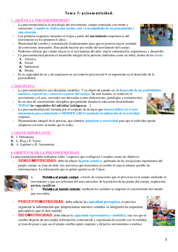 Miniatura del documento TEMA-1-psicomotricidad.pdf