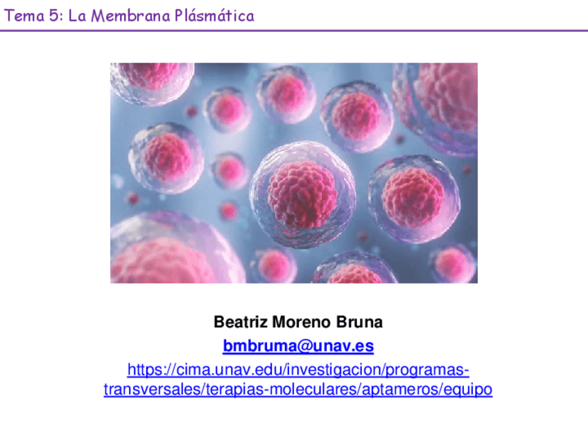 Miniatura del documento Tema-5-Membrana-Plasmatica-23-24.pdf