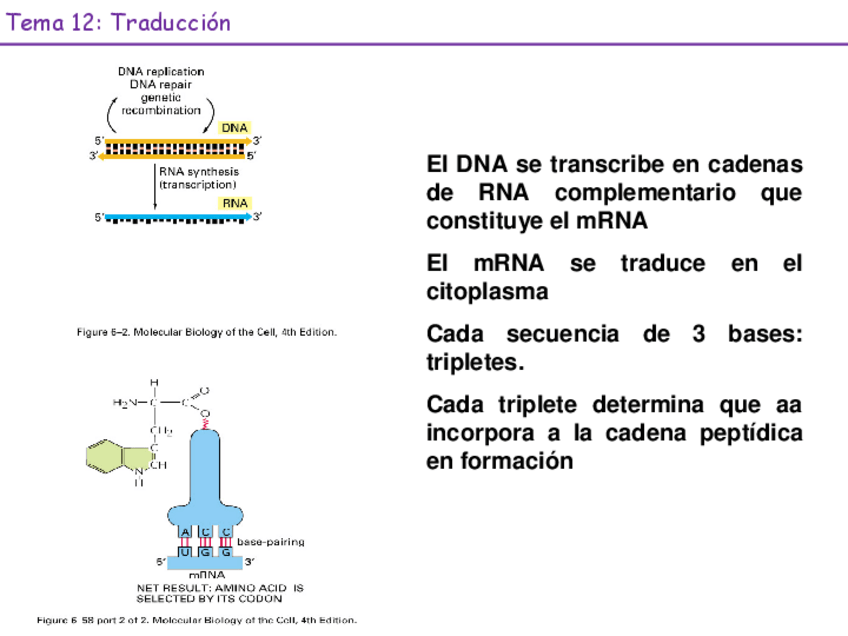 Miniatura del documento Tema-12B-RER-23-24.pdf