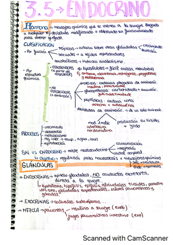 Miniatura del documento Tema-3.5-endocrino-esquemas.pdf