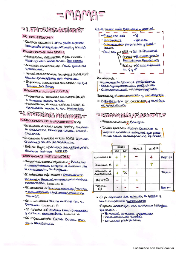 Miniatura del documento 5.-Tumores-de-mama.pdf