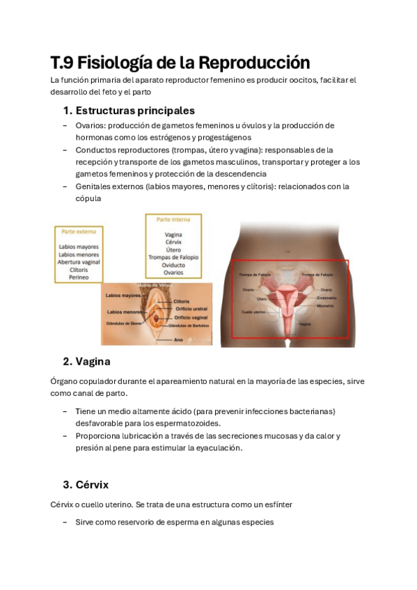 Miniatura del documento Tema-fisiologia-de-la-reproduccion.pdf