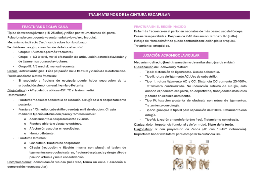 Miniatura del documento resumen-cintura-escapular.pdf