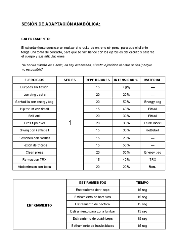 Miniatura del documento Sesion-de-Adaptacion-Anabolica.pdf