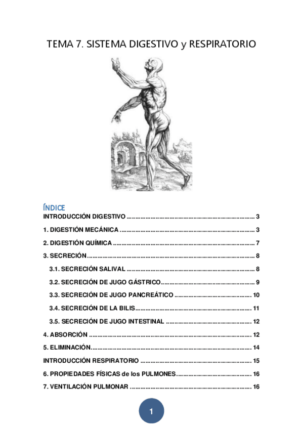 Miniatura del documento TEMA-7-SISTEMA-DIGESTIVO-y-RESPIRATORIO.pdf