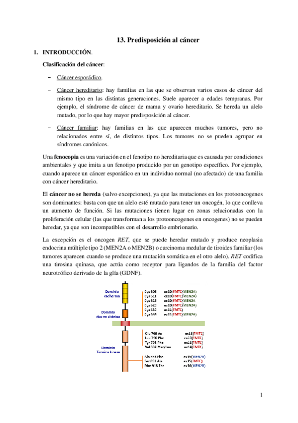 Miniatura del documento 13.-Predisposicion-al-cancer.pdf